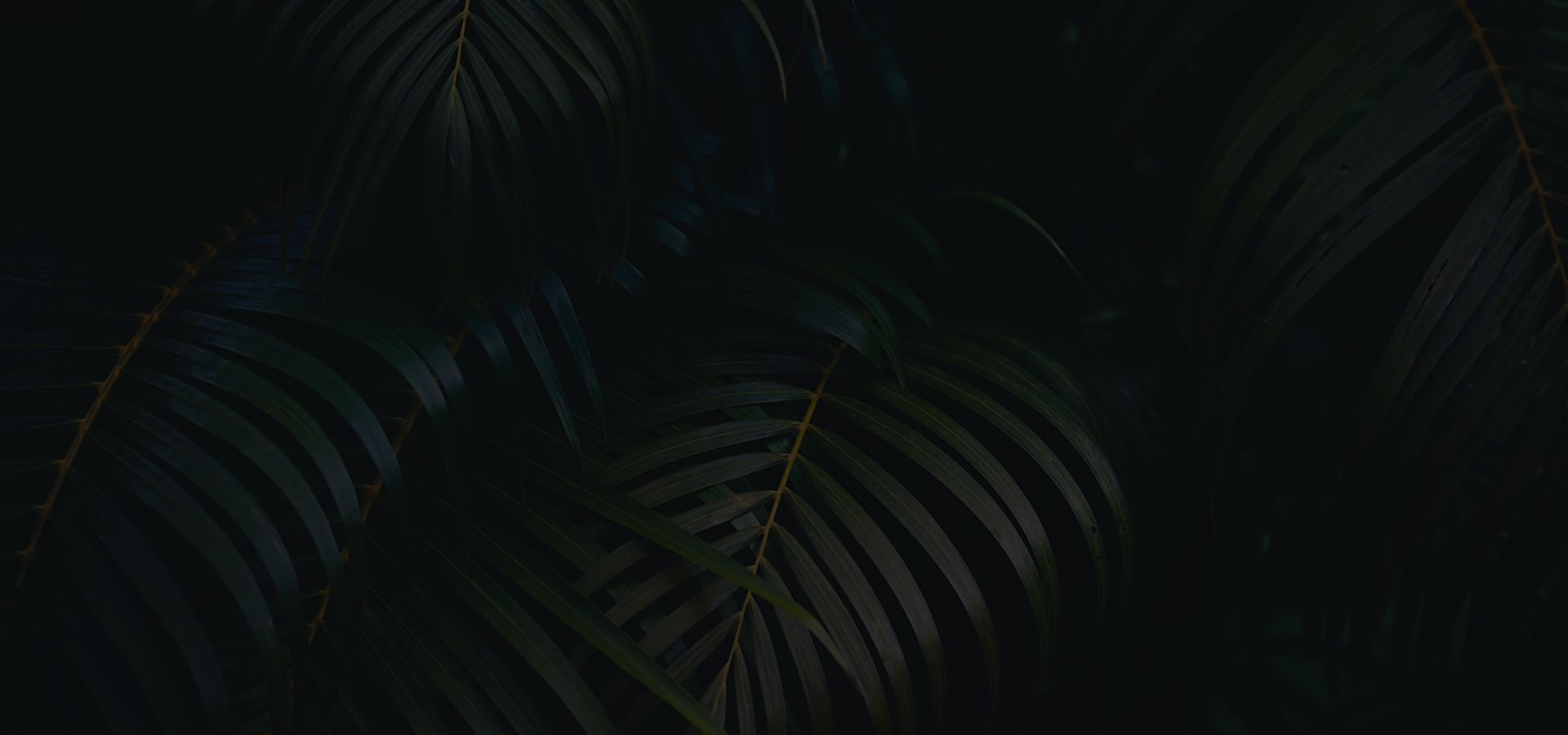 wykonywanie tatuażu